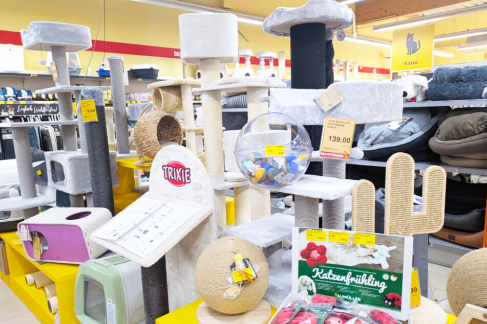 So günstig gibt's Kratzmöbel für Katzen gerade bei DAS FUTTERHAUS