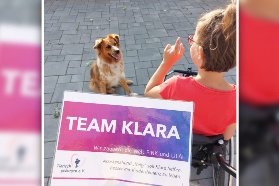Auch der kleinen Ella konnte schon durch "Tierisch geborgen e. V." geholfen werden, nun unterstützt sie die Spendenaktion für Klara.