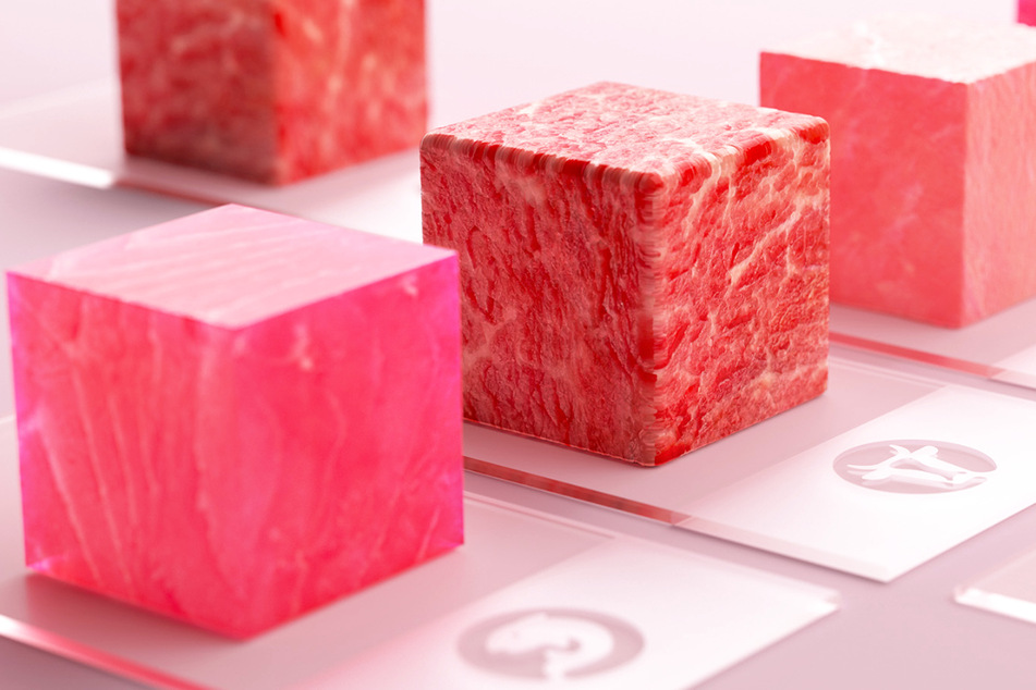 Die Illustration zeigt verschiedene Arten von im Labor hergestelltem Fleisch: Insbesondere das Nachahmen von strukturiertem Fleisch gilt als Herausforderung.