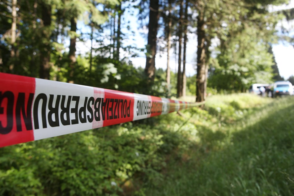 In diesem Waldstück wurde 2016 die Leiche des Mädchens Peggy gefunden. Die Schülerin war am 7. Mai 2001 verschwunden.