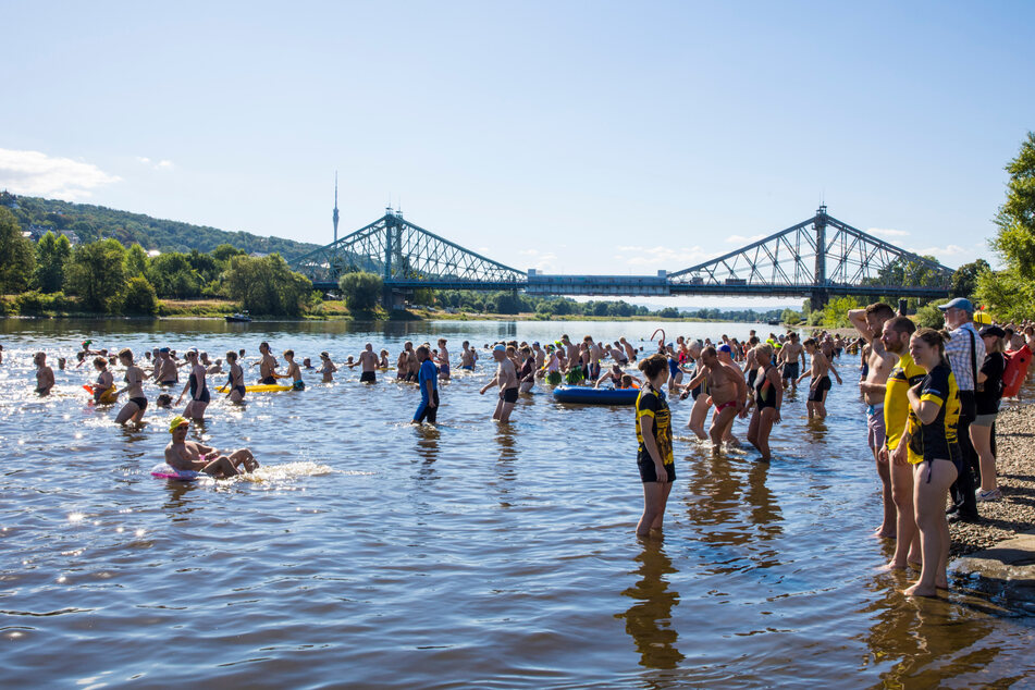 Am Sonntag lockt das Elbeschwimmen bei milden Temperaturen.