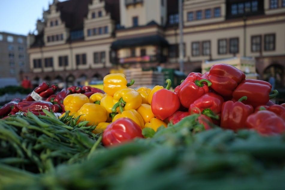 Der Wochenmarkt findet in den nächsten drei Wochen nicht vor dem Neuen Rathaus statt, sondern auf dem Augustusplatz.