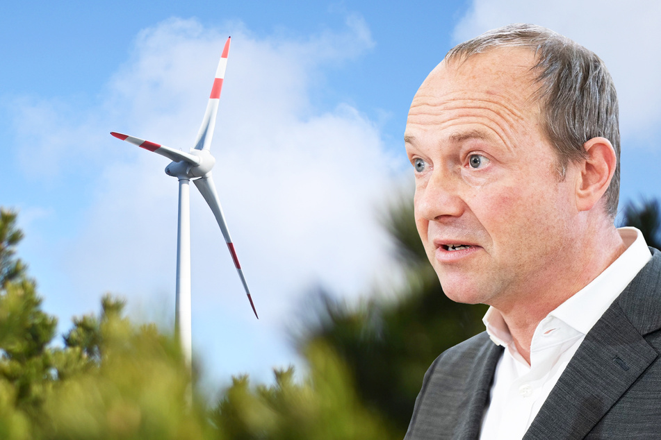 Wald statt Wiese: Sachsen sucht neue Orte für Windkraftwerke