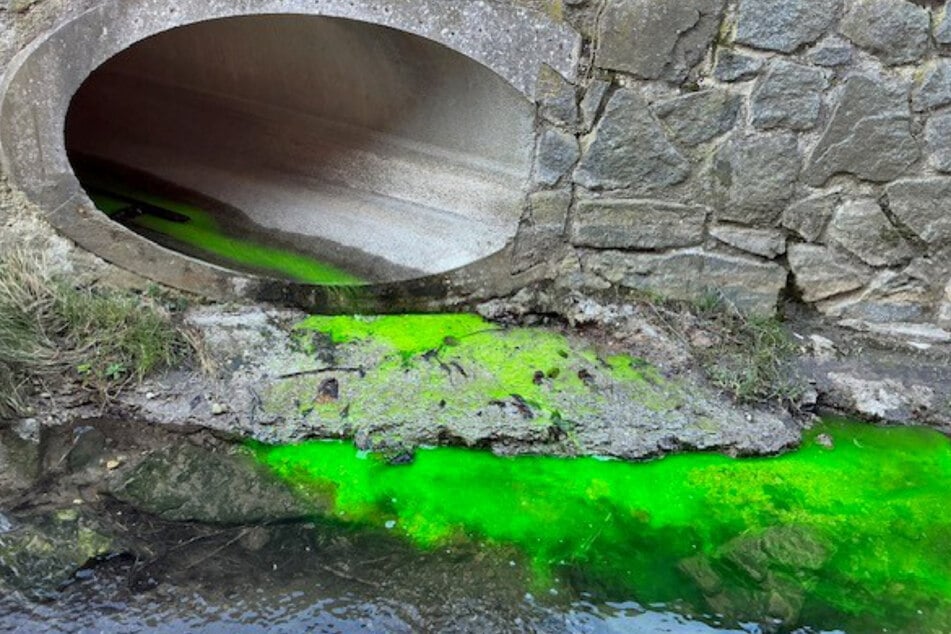 Dresden: Bach plötzlich neongrün: ABC-Einsatz der Feuerwehr