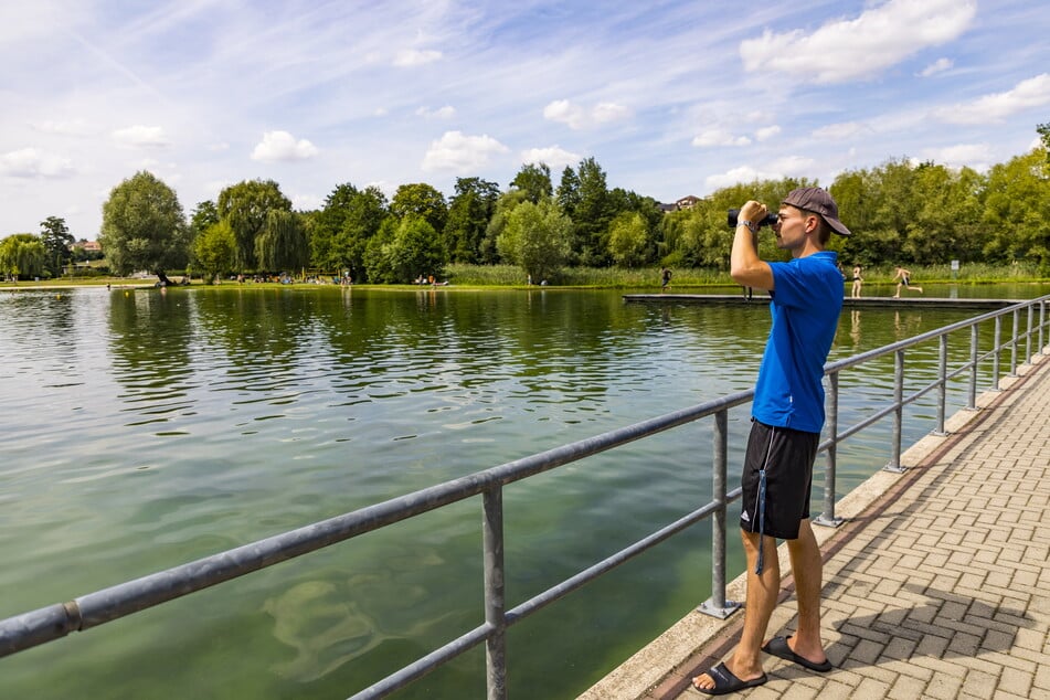 Das Leben im und am Becken stets im Blick: Bademeister Niklas Tucholka (21) hält im Freibad Mockritz Ausschau.