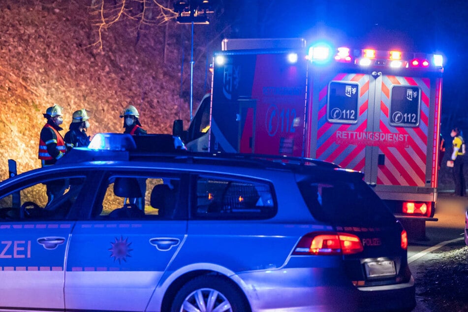 Lkw kracht gegen Baum: Fahrer stirbt noch am Unfallort