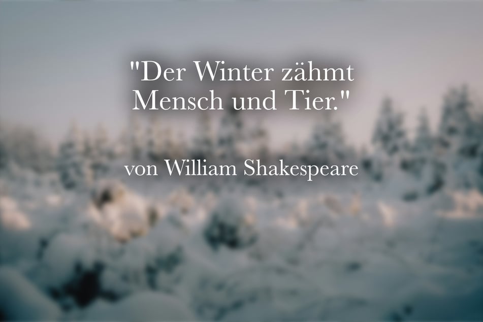 Über den Winter sagte William Shakespeare: "Der Winter zähmt Mensch und Tier."