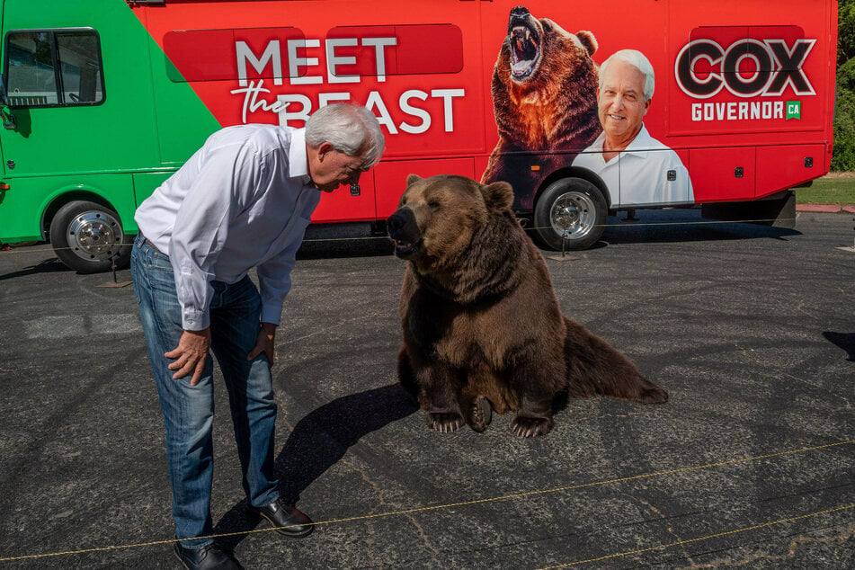 John Cox shares a moment with his 1000-pound campaign companion in Sacramento, California.