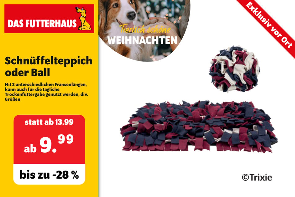 Schnüffelteppich oder Ball für Hunde