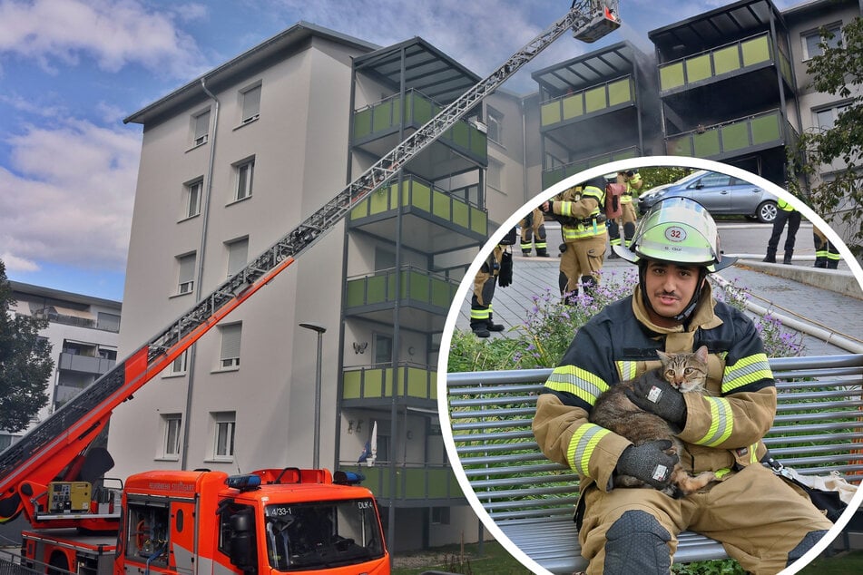 Stuttgart: Mehrere Wohnungen in Stuttgart in Brand: Katze aus Flammen gerettet
