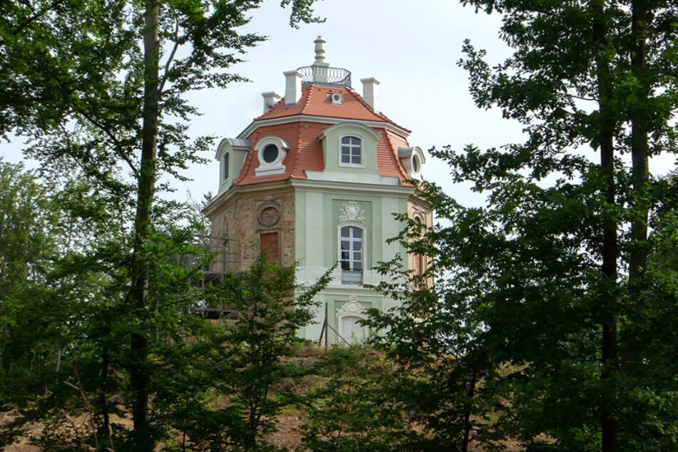 Im Grünen verborgen liegt das Hellhaus des Tiergartens Moritzburg. Seine Geschichte wird am Sonntag offengelegt.