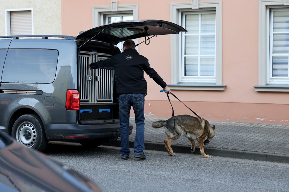 Zusätzlich zu den insgesamt 120 Beamten kamen am Donnerstag auch vier Rauschgiftspürhunde und ein Bargeldspürhund zum Einsatz