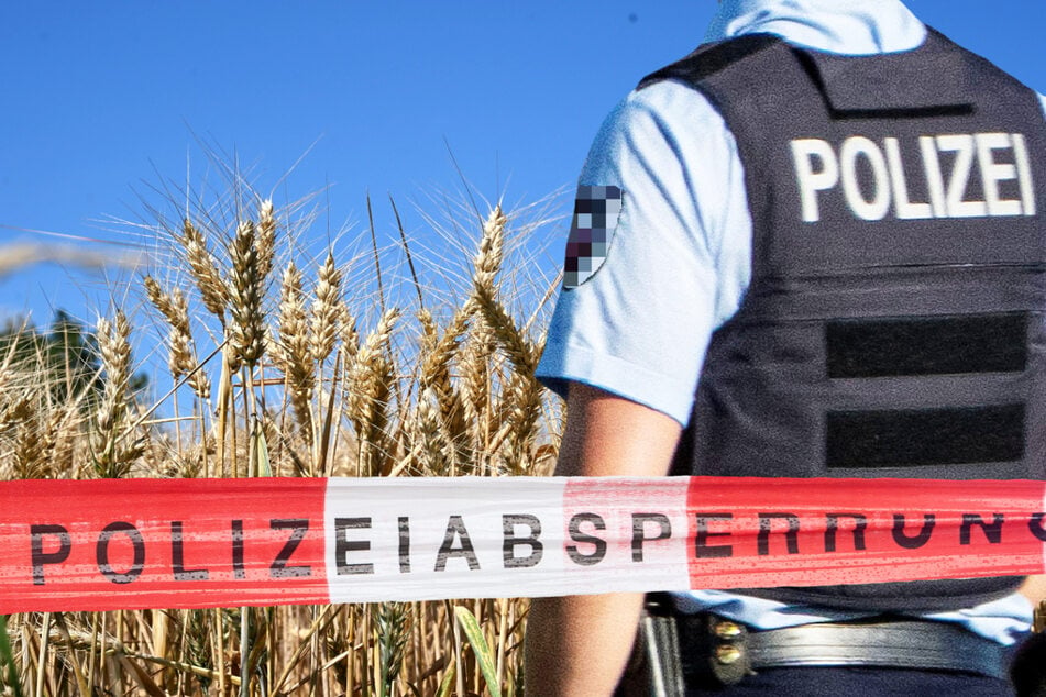 Alarm bei Erntearbeiten: Auf einem Feld in Griesheim wurde am Montag ein Blindgänger aus dem Zweiten Weltkrieg entdeckt. (Symbolfoto)