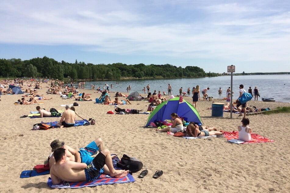 Baden am Nordstrand des Cospudener Sees: Das ist in der neuen Woche auf jeden Fall nochmal drin.