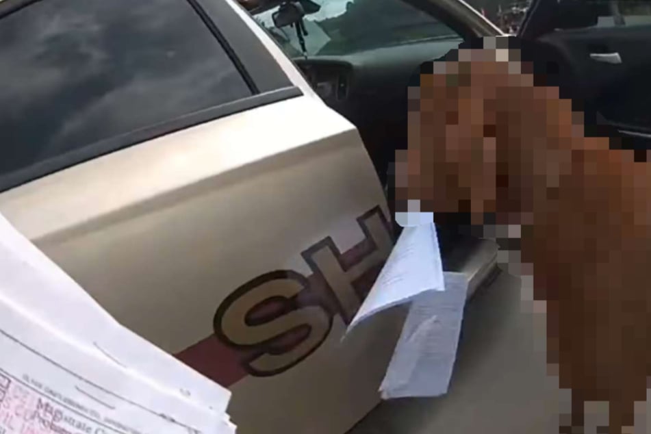 The goat ate my homework! Deputy struggles to get hungry goat out of patrol car
