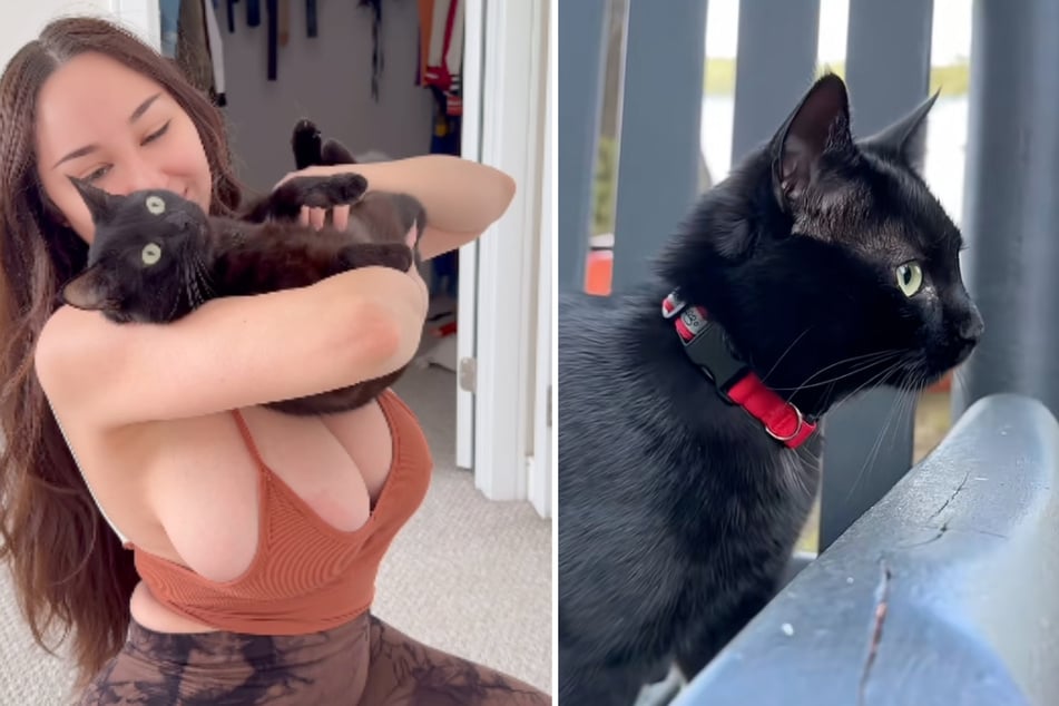 Für die vollbusige Content-Creatorin aus Kanada gehört die Samtpfote zur Familie.