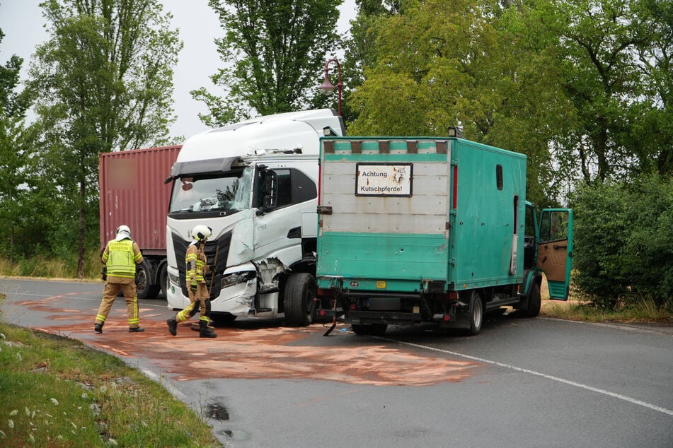 Eins der beteiligten Fahrzeuge hatte hinten die Aufschrift: "Achtung Kutschpferde!"