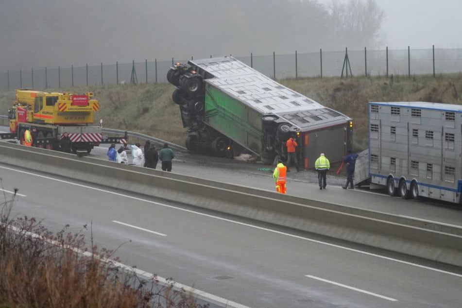 Auf der A49 ist ein Tiertransporter am Dienstag verunfallt.