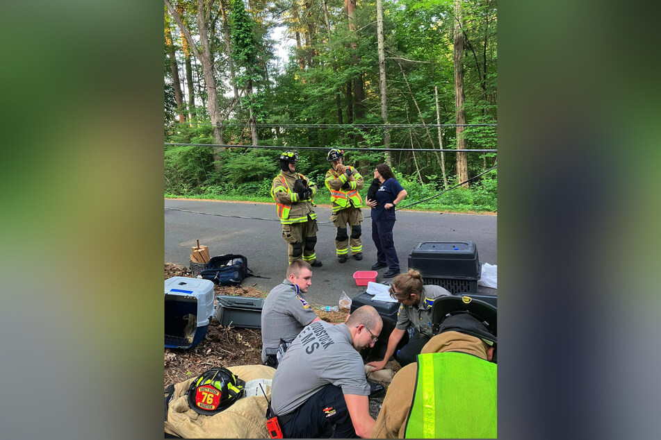 Mehrere Hundeboxen lagen nach dem Unfall auf dem Asphalt.