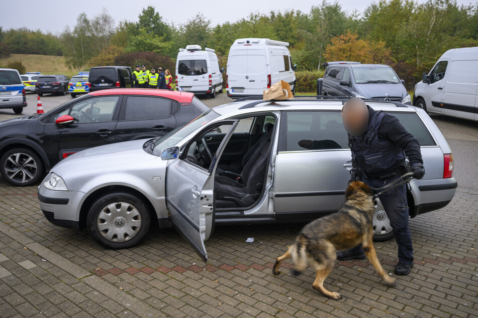 Ein Zollbeamter und sein Spürhund durchsuchen ein verdächtiges Auto nach Rauschmitteln.