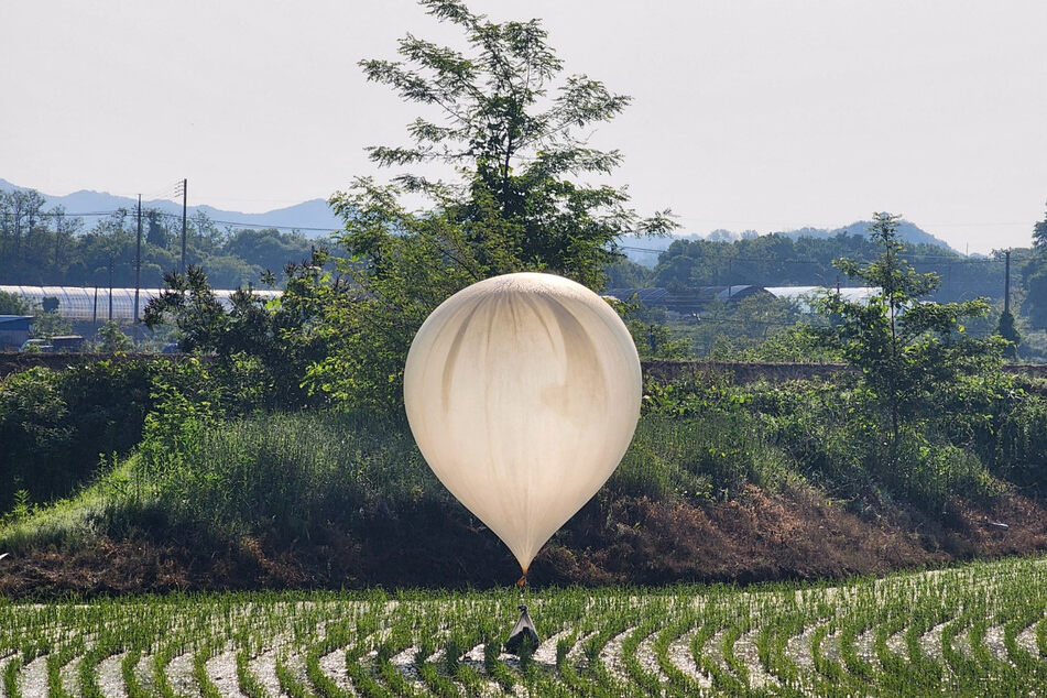 A balloon believed to have been sent by North Korea, carrying various objects including what appeared to be trash and excrement, is seen over a rice field at Cheorwon, South Korea.