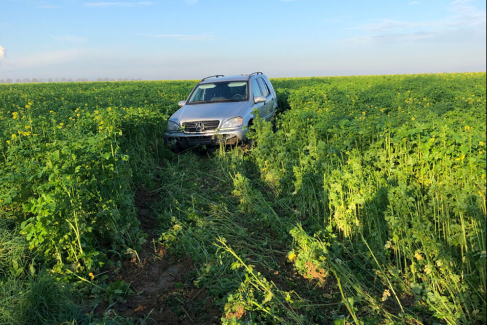 Das Auto der Mutter endete im Feld.