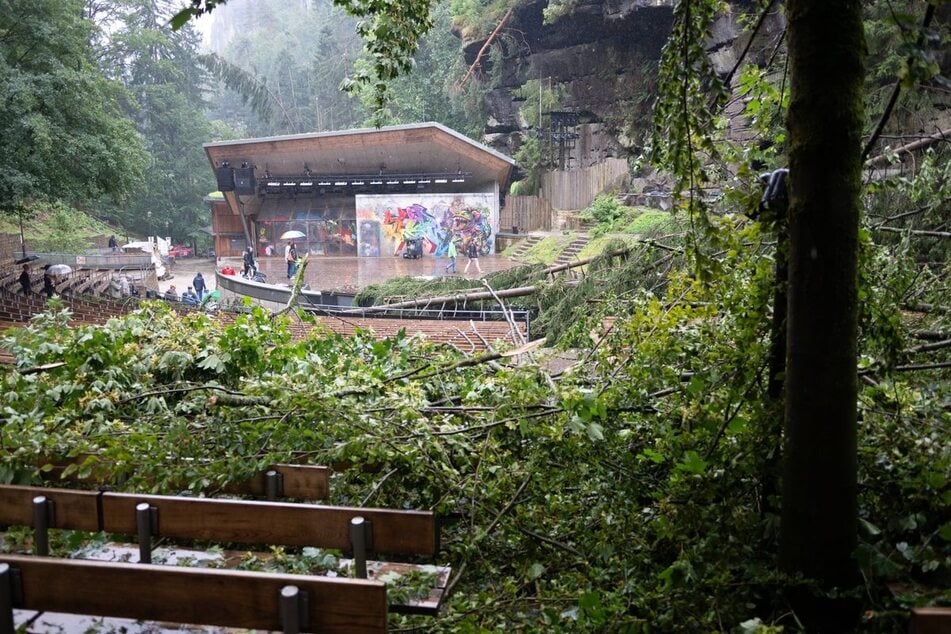 Durch das verheerende Unwetter wurde die Landesbühne stark durch umgestürzte Bäume beschädigt.