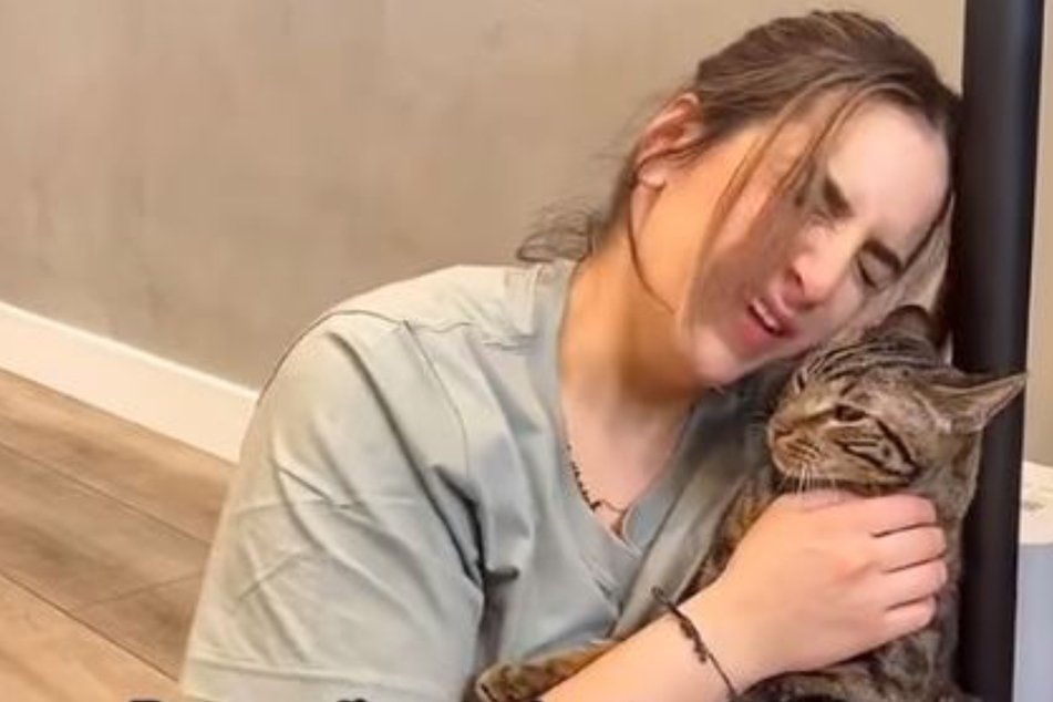 Frau gibt vor, sich wehgetan zu haben: Die Reaktion ihrer Katze lässt Herzen schmelzen