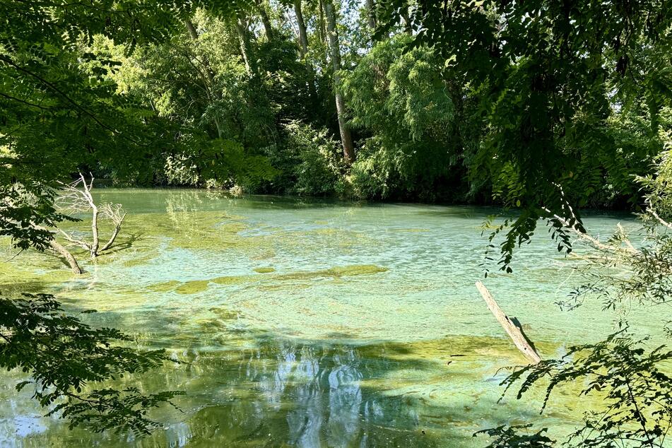 Der Echtzer Badesee in Düren musste am Samstag teilweise gesperrt werden.