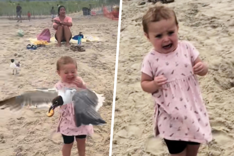 The meanest seagull grabs Hayden's crackers and leaves her shocked.