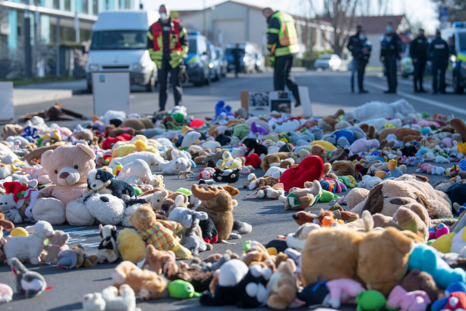 Rund 3000 Kuscheltiere lagen in Gießen auf eine Straße vor der Geschäftsstelle des Deutschen Zentrums für Lungenforschung.