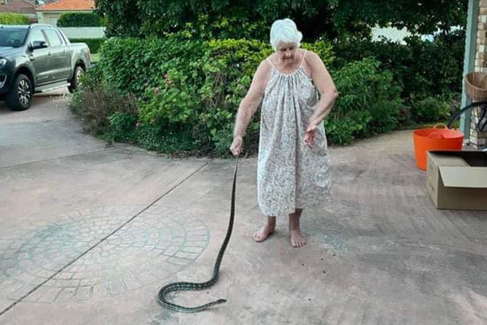 Die 80-jährige Hundebesitzerin ging mit dem Python nicht zimperlich um - er mit ihr ebenfalls nicht.