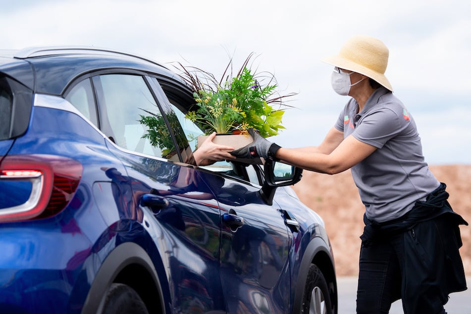 Mitarbeiter der Landesgartenschau verteilen an einem Drive-in Schalter Blumen.