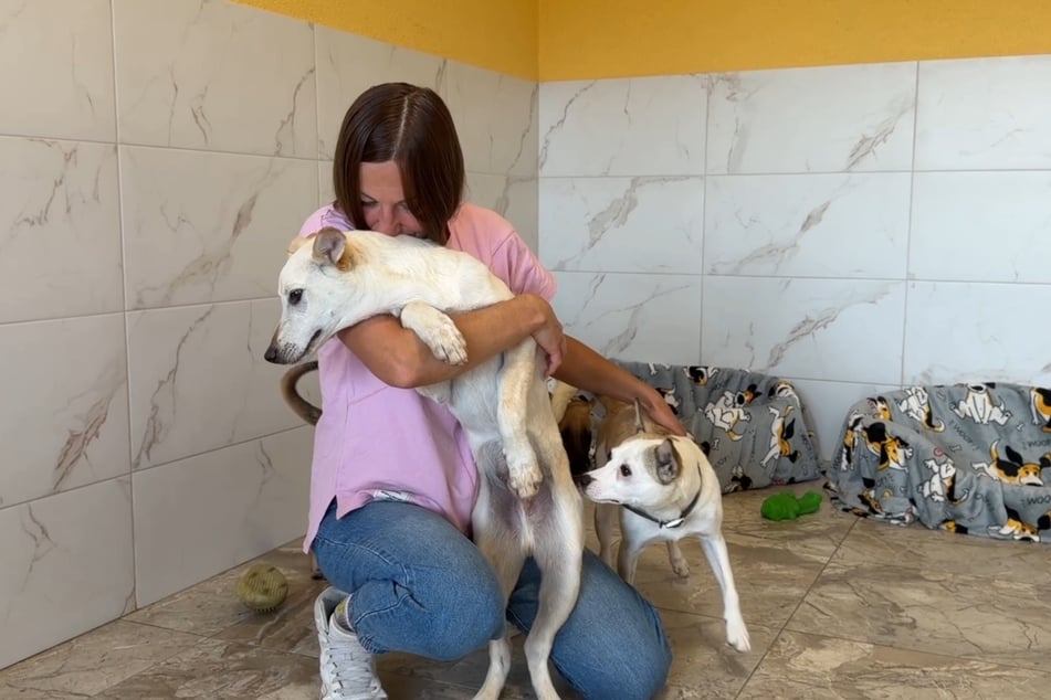 Im Tierheim der Love Furry Friends hat der Hund das Schlimmste hinter sich.