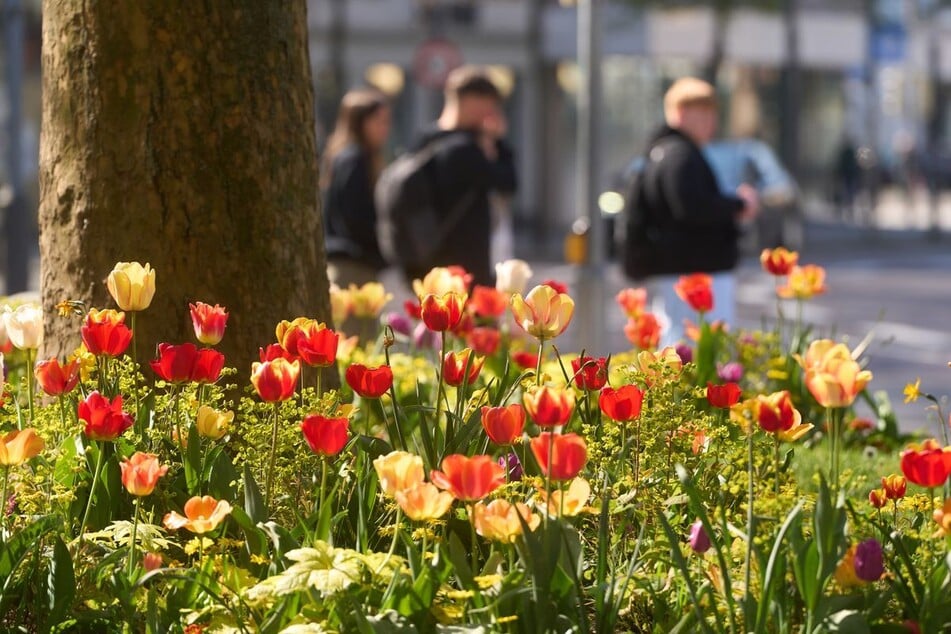 Die Menschen in Nordrhein-Westfalen können sich bis Freitag auf viele Sonnenstunden einstellen. (Symbolbild)