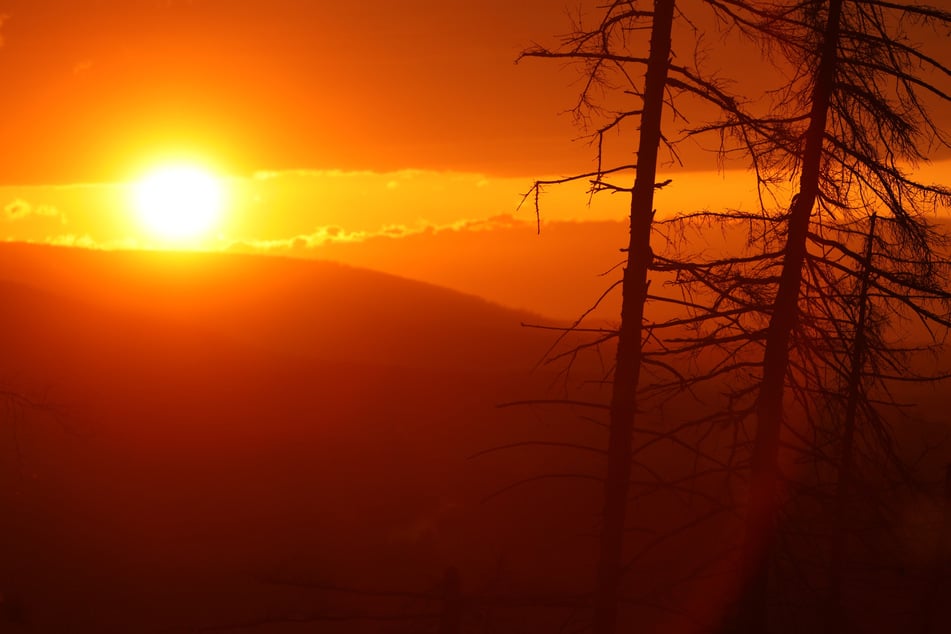 Trotz kühlerer Temperaturen bleibt es in Sachsen-Anhalt sommerlich.