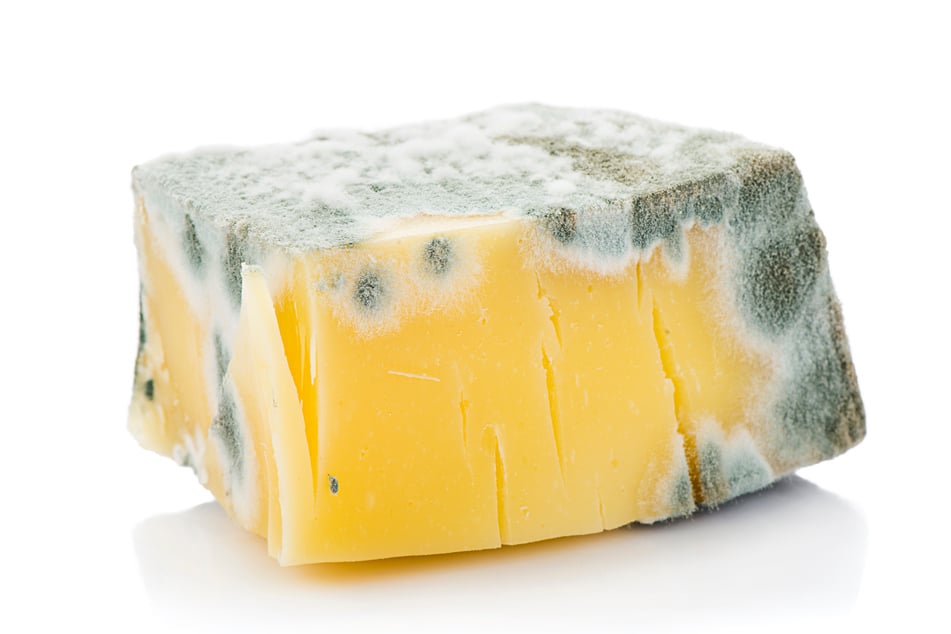 Normaler Hart- oder Schnittkäse, der in der Regel keinen essbaren Schimmel aufweist, sollte nicht mehr gegessen werden, wenn er blauen, grünlichen oder weißen Pelz bekommt. Der Käse ist sehr wahrscheinlich verdorben.