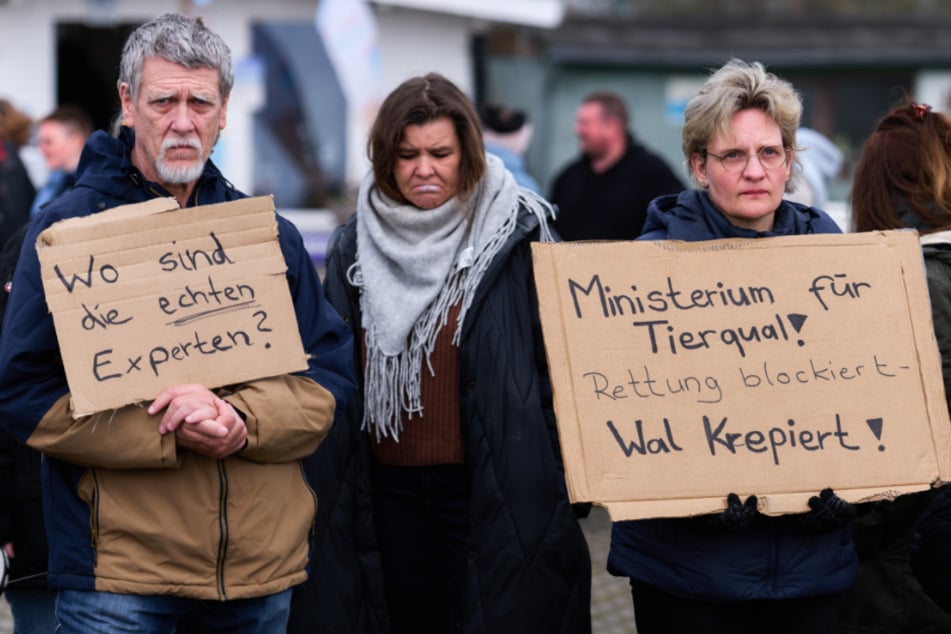 Immer wieder gingen Menschen für den sterbenden Wal auf die Straße. Sie wollten nicht wahrhaben, dass er nicht mehr gerettet werden konnte.