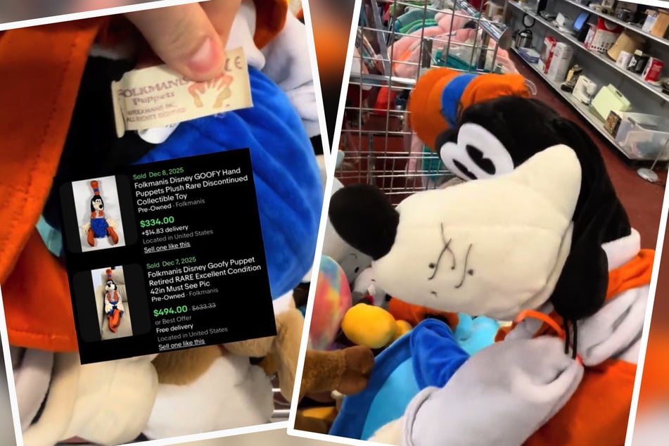 Secondhandový obchod chtěl za plyšáka Goofyho jen pár eur, na internetu se však prodává za mnohem vyšší cenu.