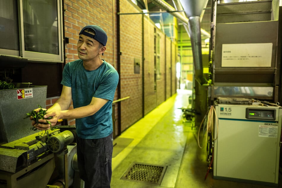 This picture taken on June 4, 2025 shows tea farm owner Masahiro Okutomi presenting the steps of tea processing in a factory in Sayama.