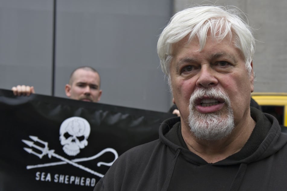 "Sea Shepherd"- Gründer Paul Watson (73) ist verhaftet worden. Der Aktivist und die Organisation gehen mittlerweile getrennte Wege.