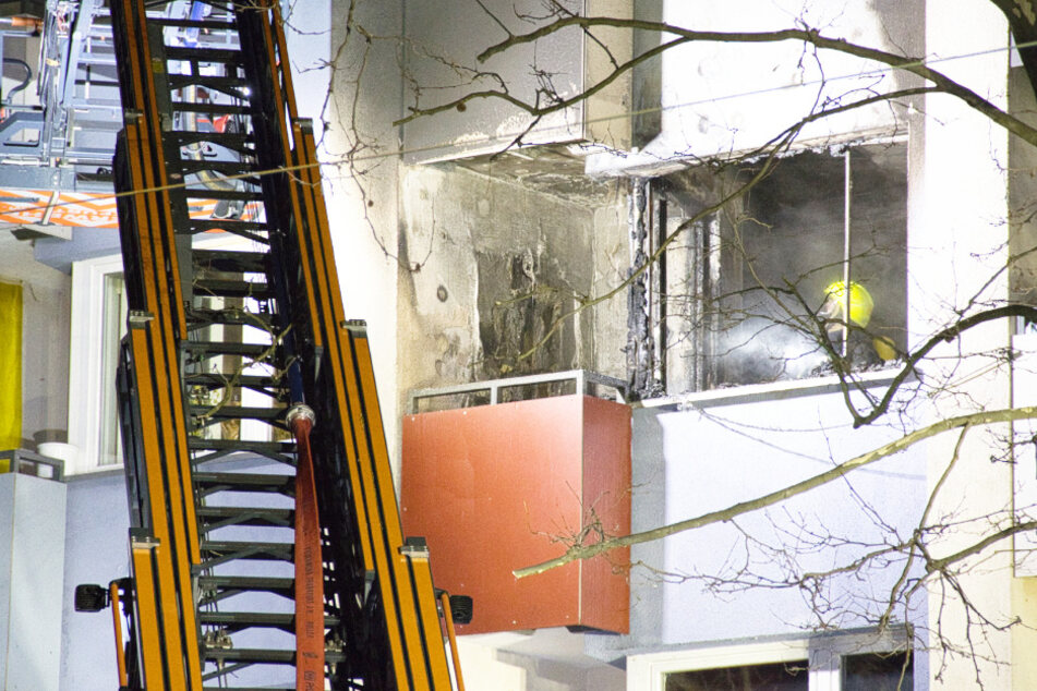 Frankfurt: Flammen wüten in Mehrfamilienhaus: Für einen Hund kommt jede Hilfe zu spät