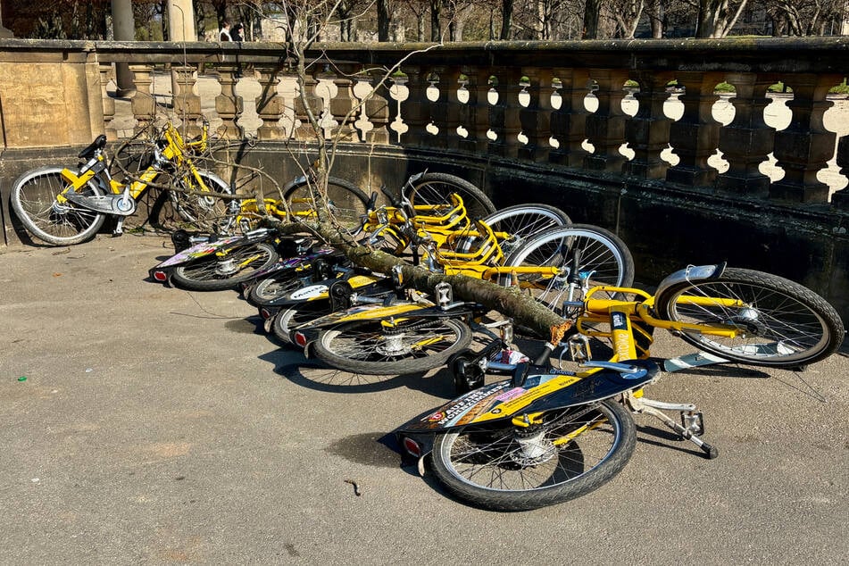 Dresden: Vandalen wüten gegen Mobi-Bikes in Dresden
