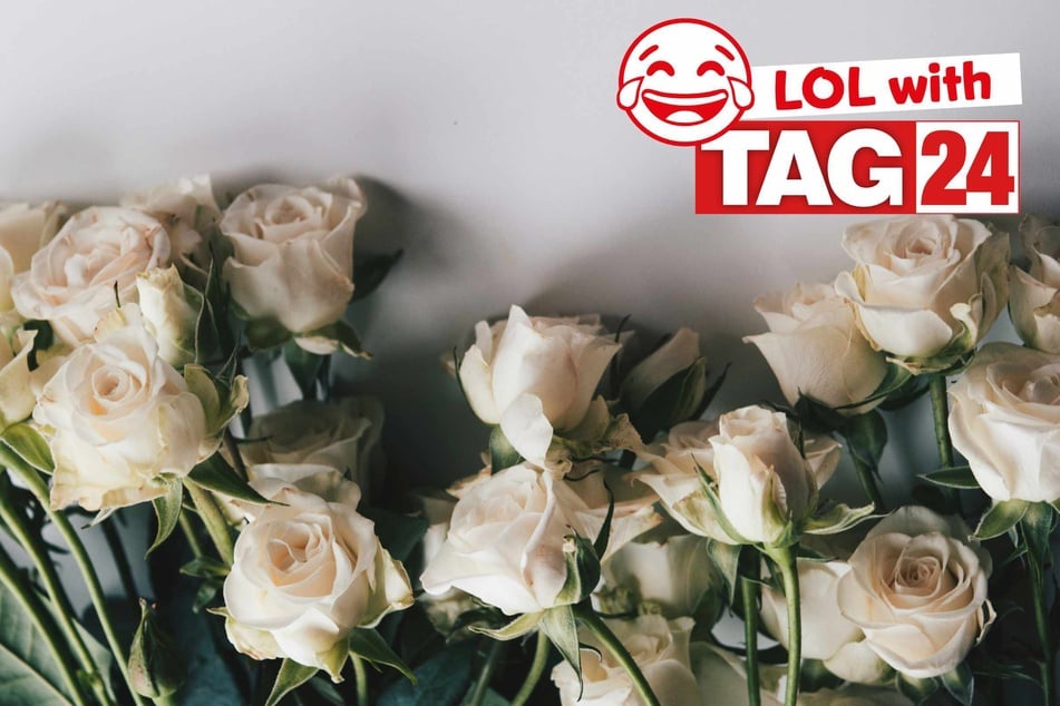 Joke of the Day for June 18, 2025: The best flower jokes to make your laughs grow