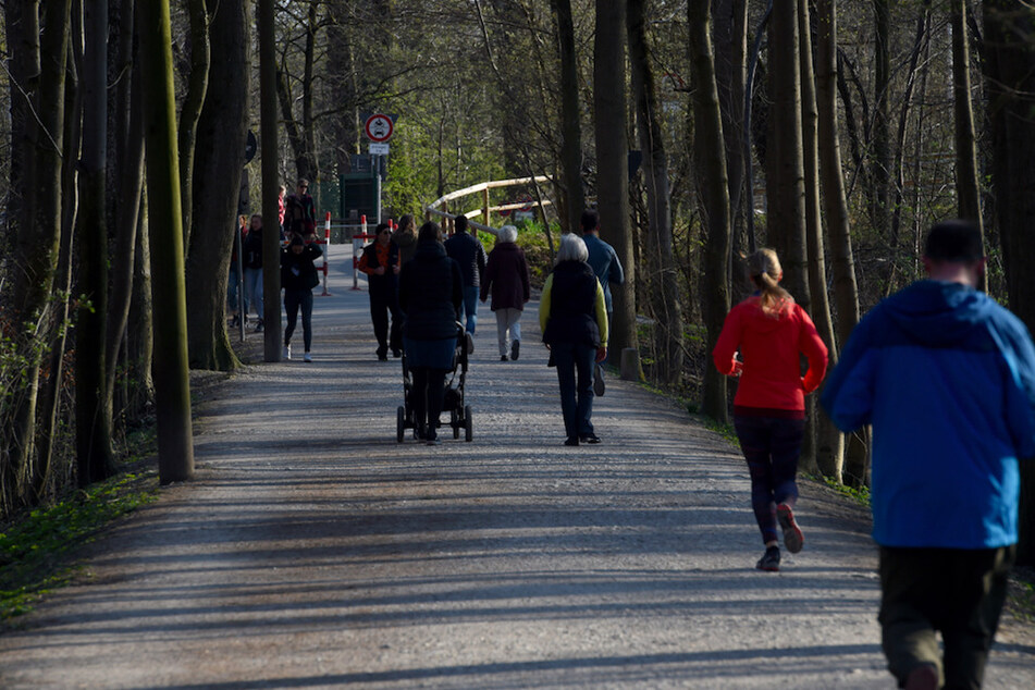 Viele Menschen sind in der Corona-Krise in Parks und Wäldern unterwegs.