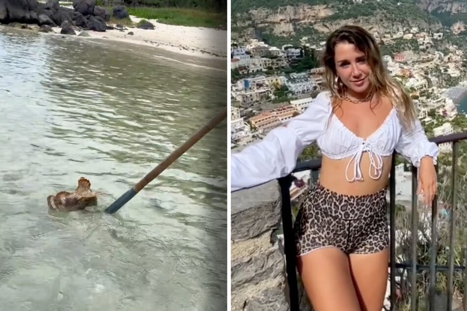 Fabiana (27) hat am Strand von Mauritius ein unheimliches Wesen entdeckt.