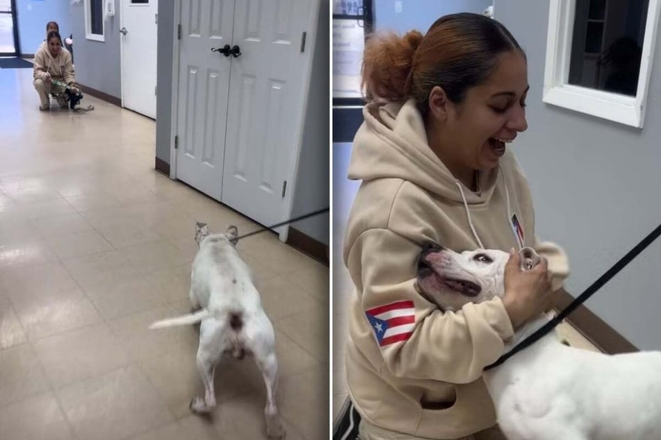 Despite the two-year separation, this dog knows exactly who has come to get him