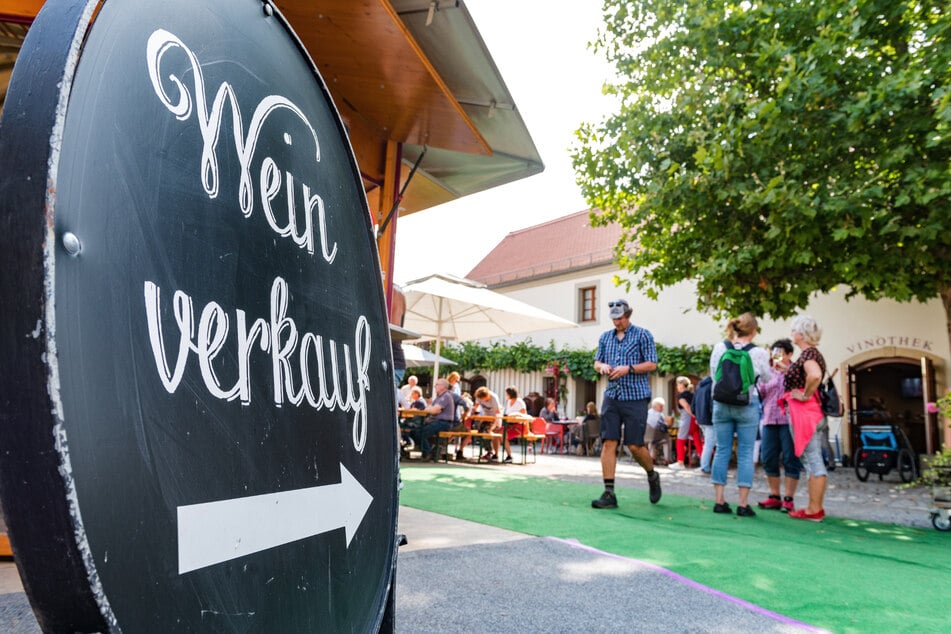 Livemusik und Wein-Genuss werden am Wochenende in Sörnewitz in Einklang gebracht.