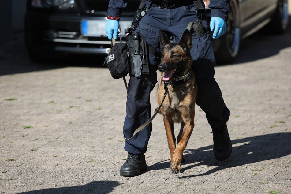 Auch Suchhunde unterstützen die Polizei in den vergangenen Tagen - bisher vergeblich.