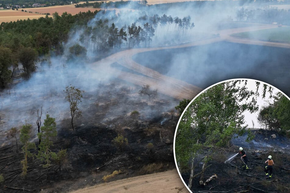 App warnt Anwohner: Großaufgebot an Feuerwehr eilt zu sächsischem Waldbrand